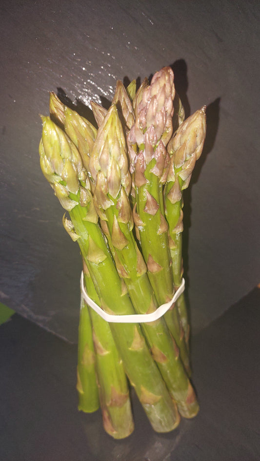 Grüner Spargel aus Rückersdorf – feldfrisch & aromatisch