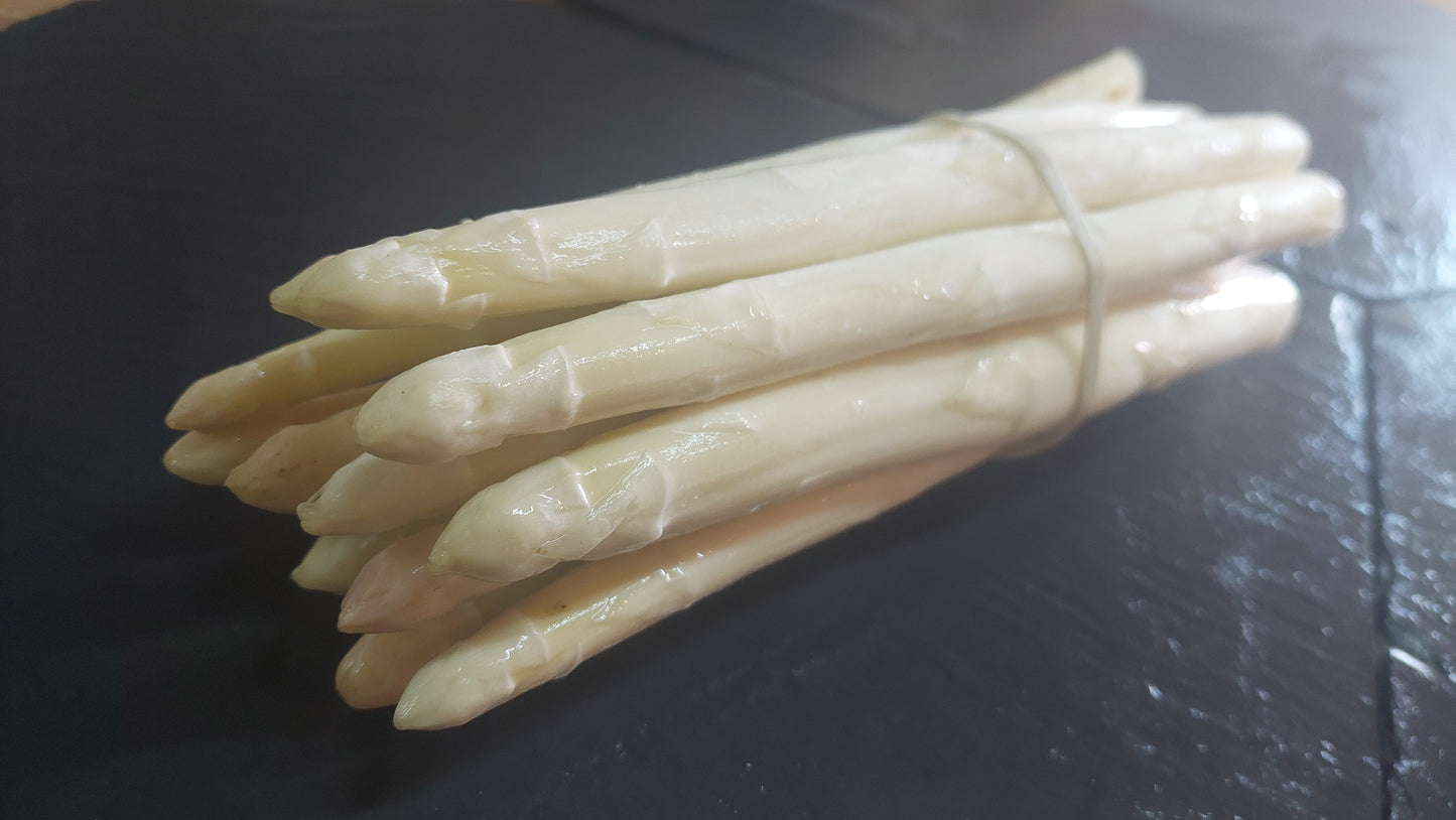 Weißer Spargel aus Rückersdorf – frisch vom Feld