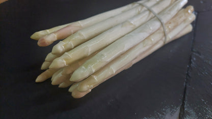 Weißer Spargel aus Rückersdorf – frisch vom Feld
